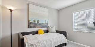 Buena Vista Gallery 82