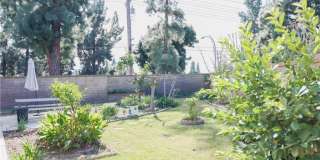 183 S Starflower Gallery 5