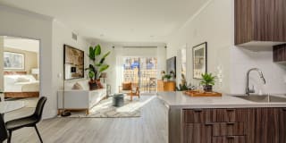 Ferrante Ferrante Gallery 113