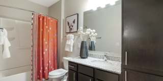 Springs at Stadium Village Gallery 51