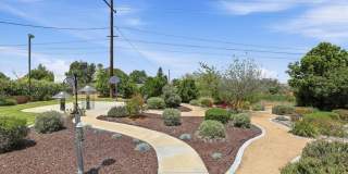 16540 Wagon Wheel Gallery 53