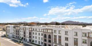 Alta Westwind Gallery 41