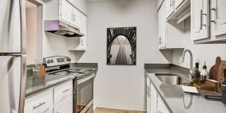 Henley And Remy Gallery 11