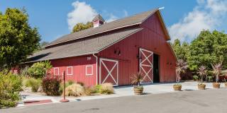 CALIXA Apartment Homes Gallery 42