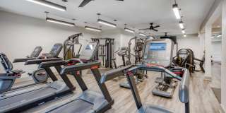 Collingwood Luxury Apartment Collingwood Luxury Apartment Gallery 28