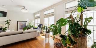 7489 CARRIAGE HILLS Drive Gallery 11