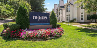 ReNew North Providence Gallery 44