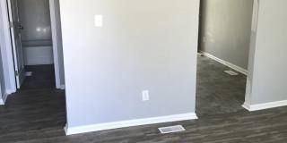 202 Selwyn Alley Gallery 12