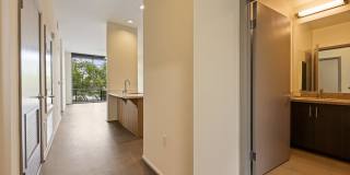 Olea Gallery 20