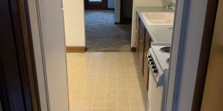 Nandale - Yellow Gallery 25