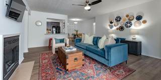 The Dakota at Druid Hills Gallery 28