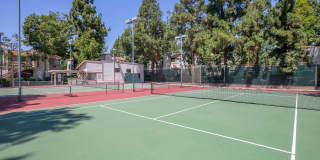 Country Woods Apartment Homes Gallery 8