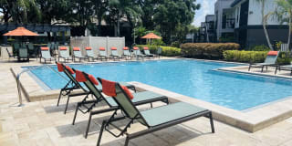 Palms of Clearwater Gallery 14