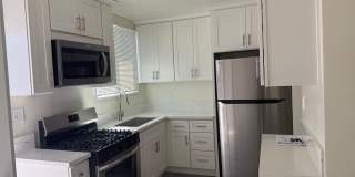 FOR RENT — COMPLETELY REMODELED Apartment Gallery 55