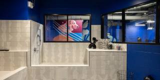 Olive Gallery 26