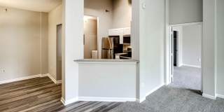 Autumn Grove Gallery 30