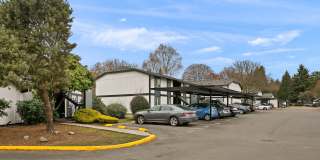 ReNew Dash Point Gallery 62