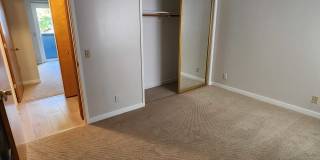 1970 Bush Street 1970 Bush Street Gallery 15