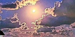 2445 Laguna Shores Gallery 40