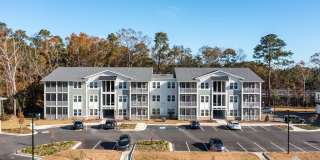 Waterleaf at Salt Creek Gallery 36