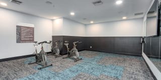 Meridian at the Port Gallery 45