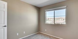 6238 Mavora Lakes Gallery 35