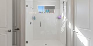 4 Bedroom Single Family Home in Surprise Gallery 28