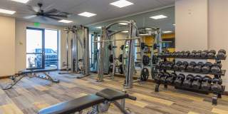 Seasons at Southpoint Gallery 7