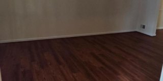 707 CURRY FORD Lane Gallery 3