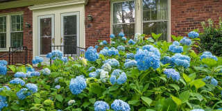 Welcome to 1501 S Edgewood Street #573, a beautifully located home in Arlington offering comfortable living in a convenient Northern Virginia setting. Gallery 1