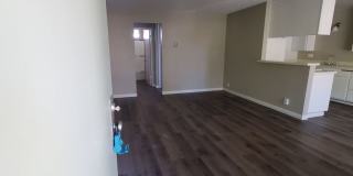 Spacious 1 Bedroom 1 Bath Upstairs Apartment Gallery 20