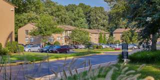 Reston Glade Gallery 24