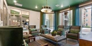 Terra Lago Gallery 22