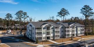 Waterleaf at Salt Creek Gallery 37