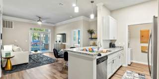 Abberly at West Ashley Gallery 1