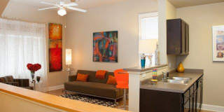 River Garden on St Andrew Gallery 5