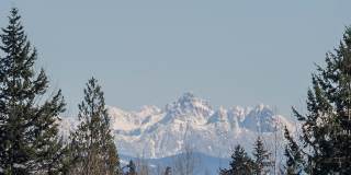 Axis Apartments Gallery 23