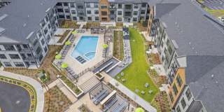 Canter Green Gallery 9