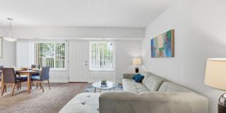 Glenmont Forest Gallery 44