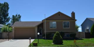Cozy 4 Bedroom Bi-level in Security/Widefield Gallery 1