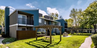 Mariner's Cove Gallery 11