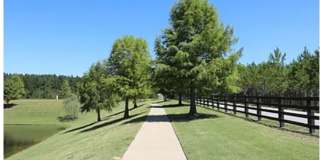 224 Park Crest Run, Chelsea AL 35043 Gallery 46