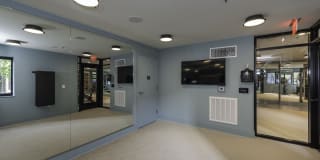 Arcade Sunshine Gallery 22