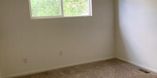 1723 Dove Creek Circle Gallery 7