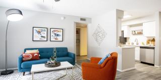 Paseo 51 Gallery 8