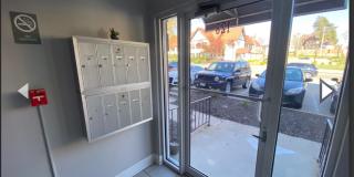 Andrew Gallery 51