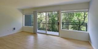 The ANNA Apartments The ANNA Apartments Gallery 1