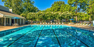 Compass at City Center Gallery 6