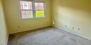 10216 PROVINCETOWN Court Gallery 26