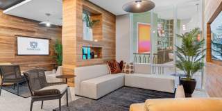 Tortoise One Gallery 27